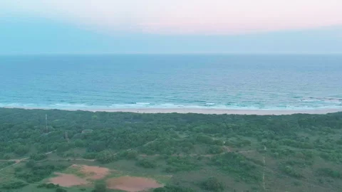 Over bushes, tilt up to showcase ocean Stock Footage 304150355