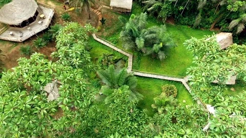 Over the canopy of a touristic lodge in the forest Video stock 80849044