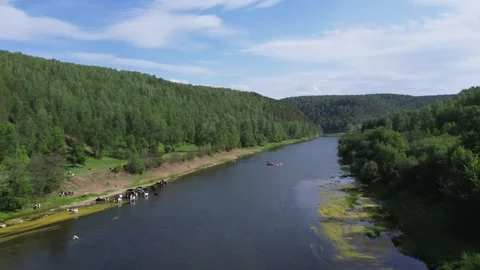Over the clean beautiful river and green forest around Mountains everywhere Stock Footage 246581211