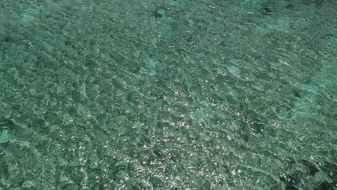 Over Clear Water With Ripples Stock Footage 165130962