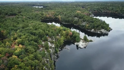 Over the cliff flight in the wild forest, Canadian summer, Muskoka Ontario 動画素材 150592535