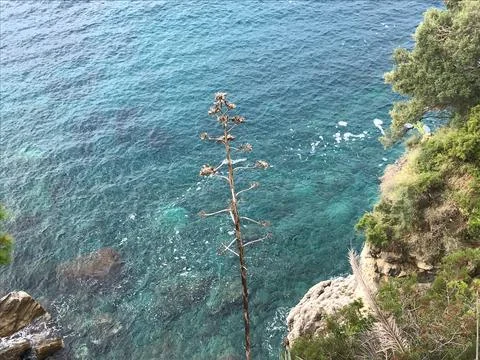 Over the cliff ocean view Stock Photos