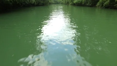 Over Close To River Water Surface Rain Forest Jungle Nature Stock Footage 75699704