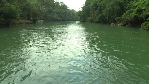 Over Close To River Water Surface Rain Forest Jungle Nature Stock Footage 75699751