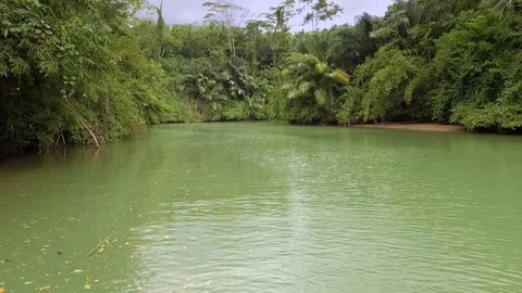 Over Close To River Water Surface Rain Forest Jungle Nature Stock Footage 75702486