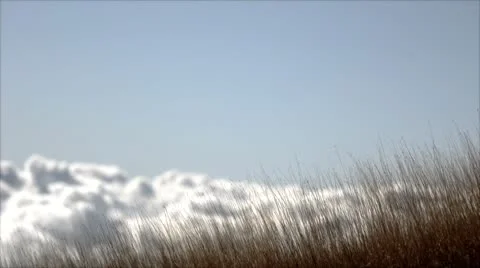 Over the clouds Stock Footage 10600395