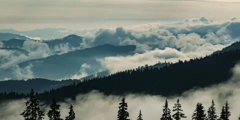 Over the clouds 스톡 동영상 90921897