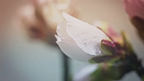 Over colored and blurred background Conception of the new day or new beginnings Stock Footage 129999298