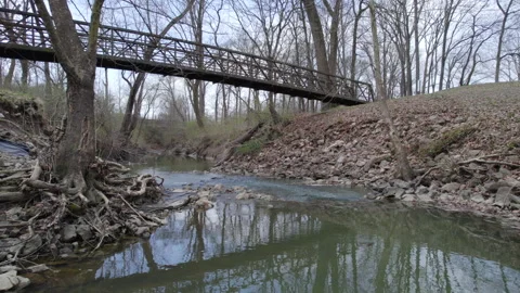 Over the creek under the bridge through the woods Stock Footage 173822886