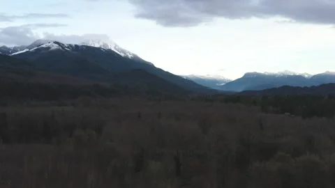 Over Dead Trees towars Snowy Mountain 4k 30fps Stock Footage 144731999