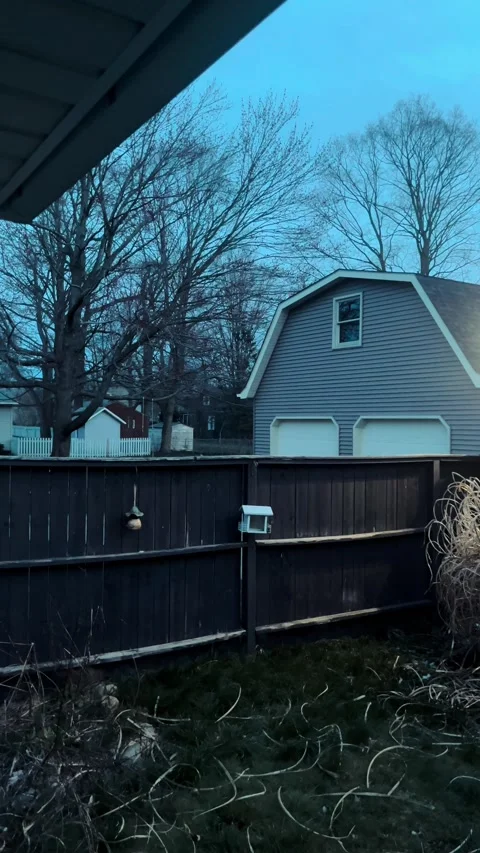 Over the fence Stock Footage 279521169