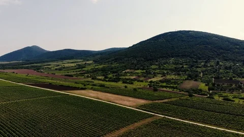 Over the Field Stock Footage 90490890