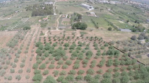 Over the Fields 2 Stock Footage 52684794
