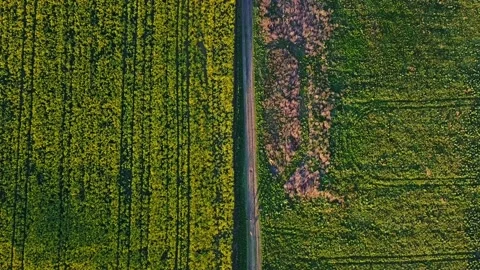 Over the fields Video stock 130918285