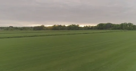 Over the Fields of Grass Video stock 76468226