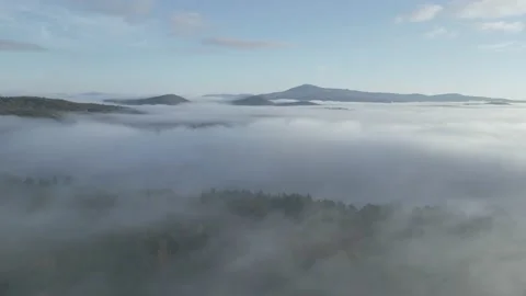 Over the Fog 11 Video stock 223525098