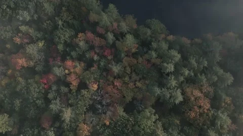 Over the Fog 18 Stock-Footage 223525670