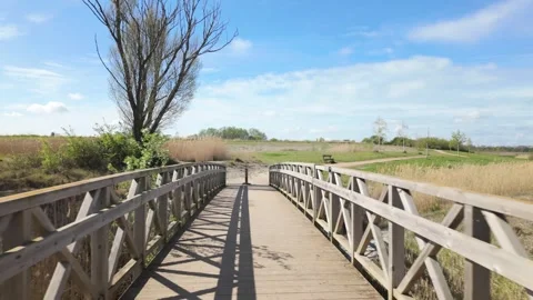 Over the Foot Bridge at Beebys Lake West, Peterborough Stock Footage 332736214