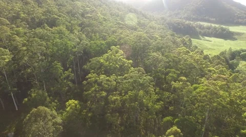 Over the forest 4K Stock Footage 63283972