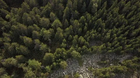 Over the forest and the stone river Video stock 80689484