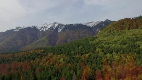 Over forest in the Autumn Stock Footage 82415771