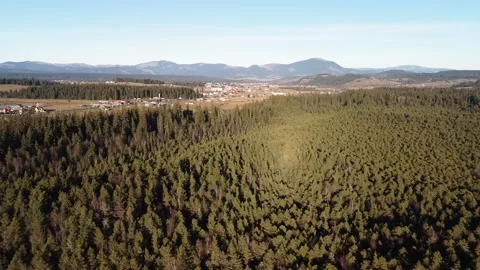 Over the Forest Edge: Tranquil Settlement Views 스톡 동영상 221361005