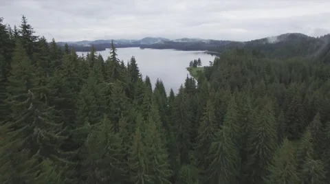 OVER FOREST TO LAKE SLOW. Stock-Footage 65319247