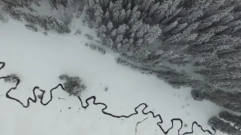 Over a Forest Stream in the Snow Video stock 61462244