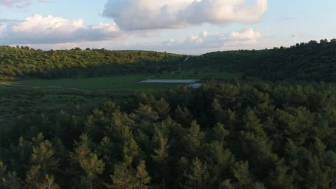 Over forest tree top, crane down Vídeos de archivo 126946429