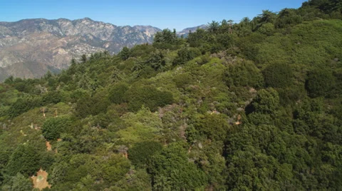 Over a forested ridge in the rugged San Gabriel Mountains, California. Shot in Stock Footage 59113972