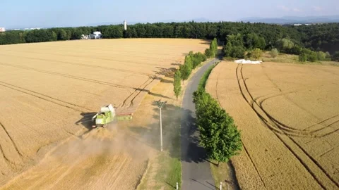 Over a golden grain field, the drone flies above a working combine harvester 스톡 동영상 346122546