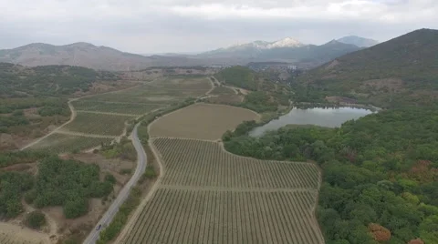 Over grape fields and lake near mountains in Crimea Stock Footage 61627131