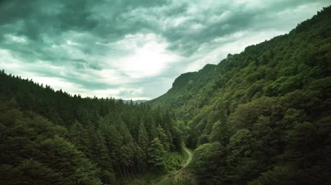 Over the Green Forest Mountain and Trail (3) Stock Footage 51862836