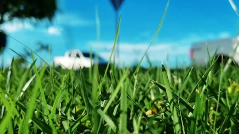 Over the green grass and blue sky, cars pass by as the day goes by, Panama Stock Footage 341897727