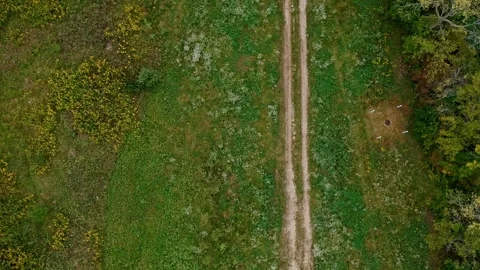 Over head top down of long country road with pond Stock Footage 155083757