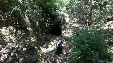 Over head view of man walking in woods 스톡 동영상 115091461