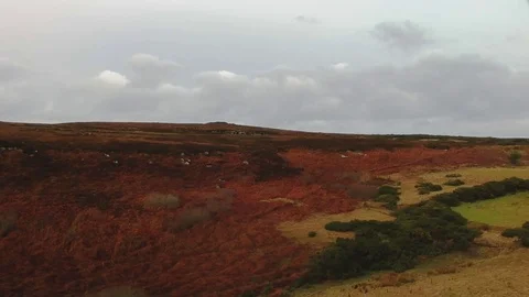 Over the hill Vídeos de archivo 83953782