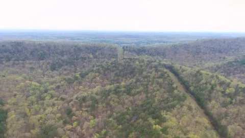 Over the hills through the woods Stock Footage 129063030