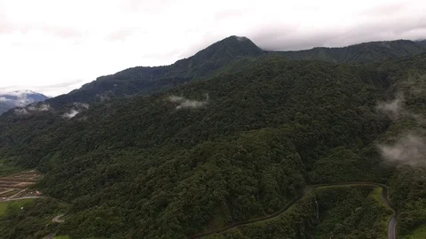 Over the Jungle in the Amazon Basin Video stock 90309116