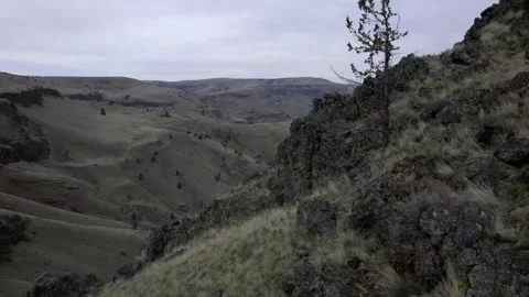 Over a Large Desert Canyon Stock Footage 242743125
