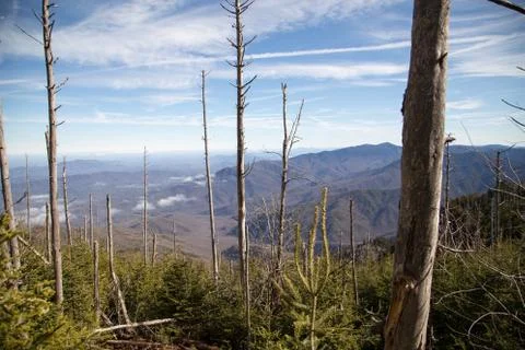 Over Look Stock Photos