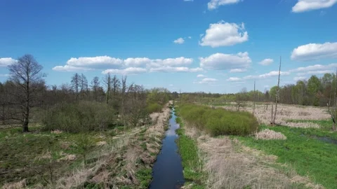 Over a lowland small river surrounded by swamps on a clear day with cumulus Stock Footage 239474230