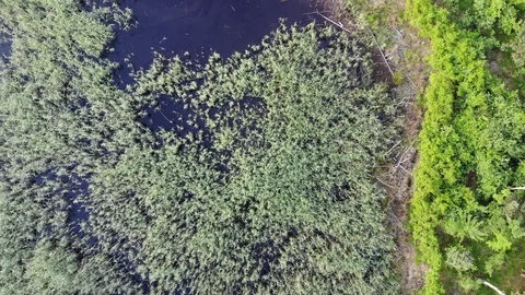 Over the Marsh Video stock 111153875