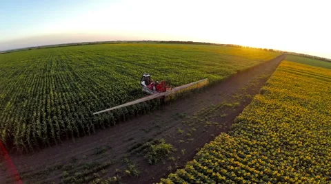 Over the mashine watering the corn  field in sunset Stock Footage 40960308