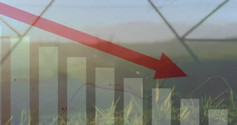 Over nature background, red arrow pointing down on bar graph, showing decline Stock Footage 305884348
