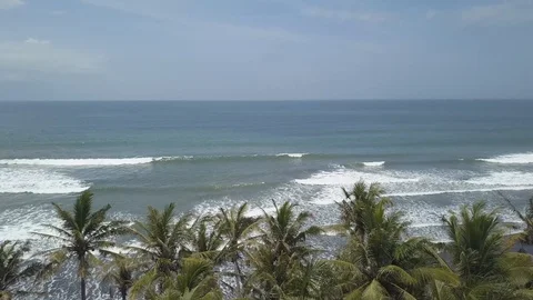 Over palm threes in the beach Stock Footage 99832137