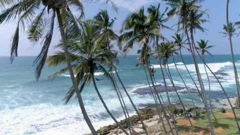 Over Palms Tropical Ocean View Aerial 4k Stock Footage 85643149