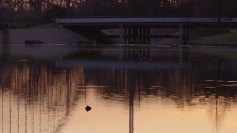 Over pass by a Lake Video stock 73901381