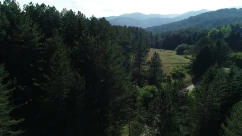 Over the pine woods in Calabria Video stock 143608305