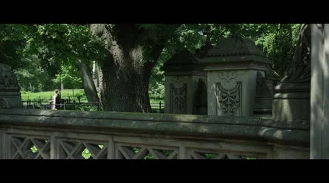 Over the railing at park Vidéo 57066689